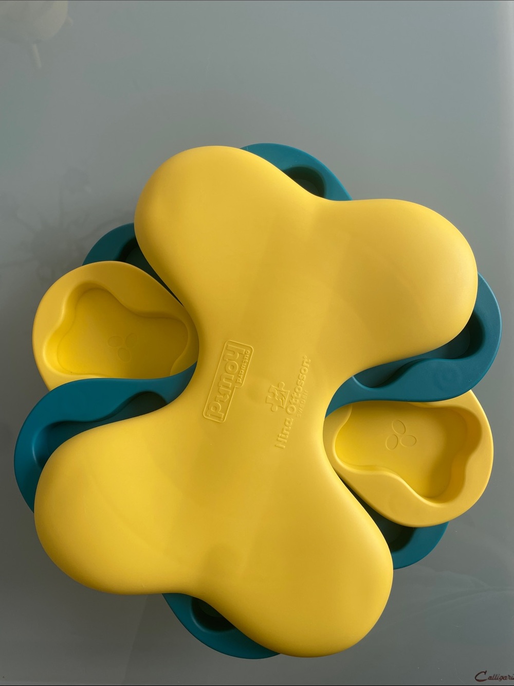 Nina Ottosson Outward Hound Treat Puzzle Toy